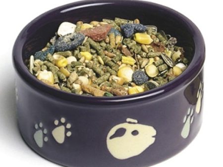 KAYTEE - Paw-Print PetWare Guinea Pig Bowl - 4.25  Diameter For Cheap